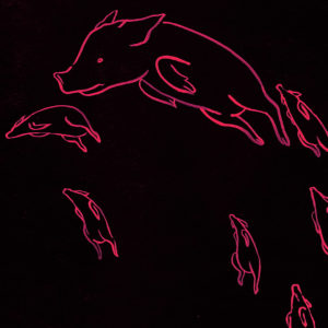 Still aus "Schwein" von Luisa Krutyholowa