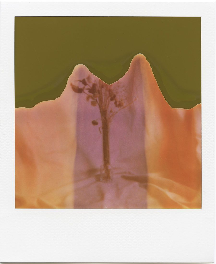 Abgelaufenes Polaroid