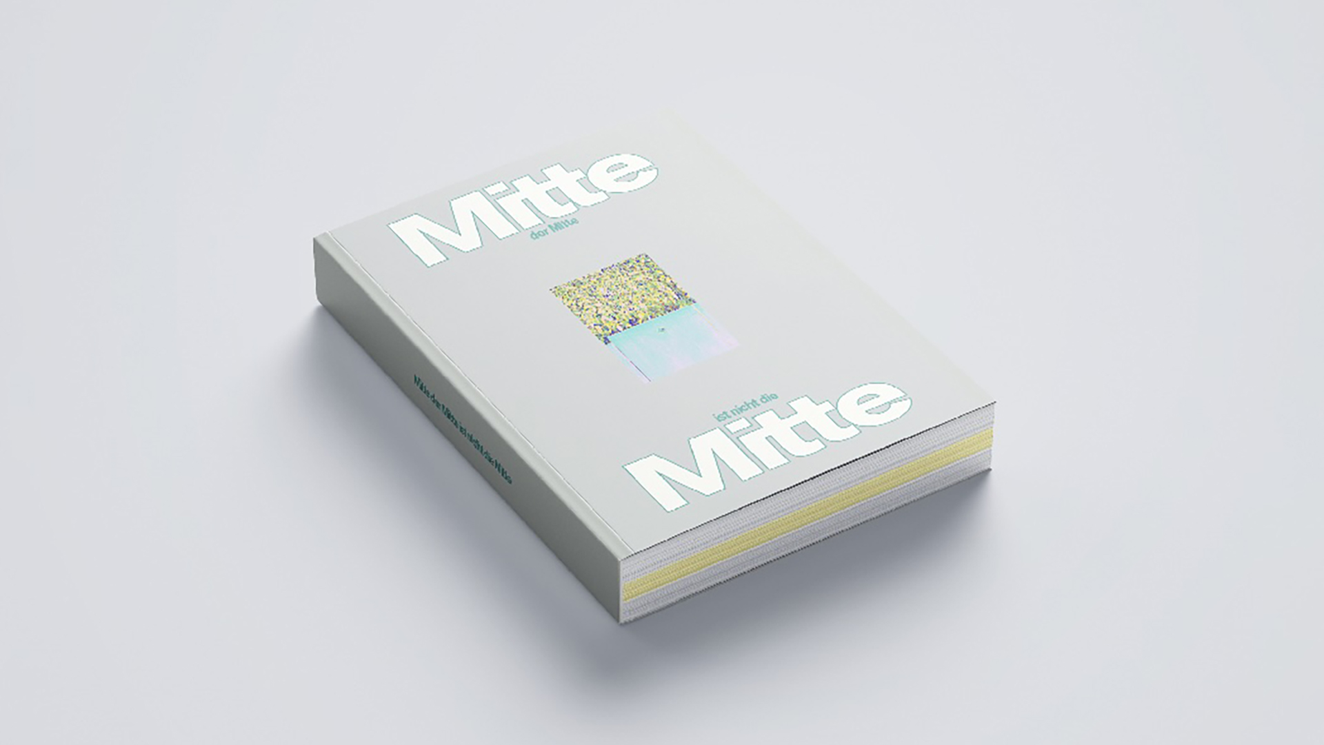 Buch über die Mittelschicht